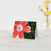 roze tulpenlicht kaart (Gele Bloem)