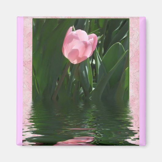 roze tulpenmagneet magneet (Voorkant)