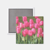 Roze Tulpenmagneet Magneet (Voorkant / Achterkant)