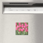 Roze Tulpenmagneet Magneet (Insitu (Vaatwasser))