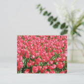 Roze tulpenveld briefkaart (Staand voorkant)