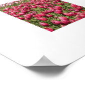 Roze Tulpenvelden Bloemfotografie Poster (Hoek)