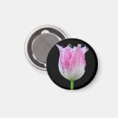 Roze tulpmagneet met rand magneet (Voorkant / Achterkant)