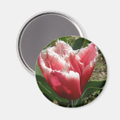 Roze tulpmagneet met rand magneet (Voorkant / Achterkant)