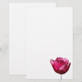 Roze tulppapier briefpapier (Voorkant / Achterkant)