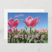 Roze Tulps Field Close Up Moederdag Briefkaart (Voorkant / Achterkant)