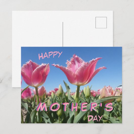 Roze Tulps Field Close Up Moederdag Briefkaart (Voorkant / Achterkant)