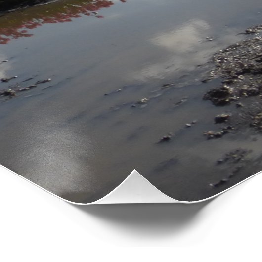 Roze Tulps Field Reflected Landscape Poster (Hoek)