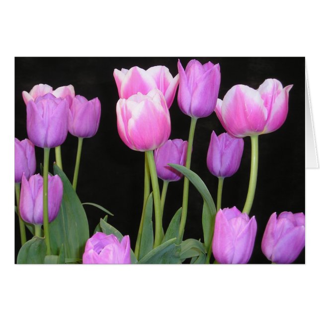 Roze Tulps-kaart (Voorkant Horizontaal)