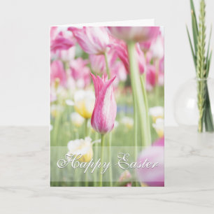 Roze Tulps Spring Sason Easter Wenskaart Feestdagen Kaart