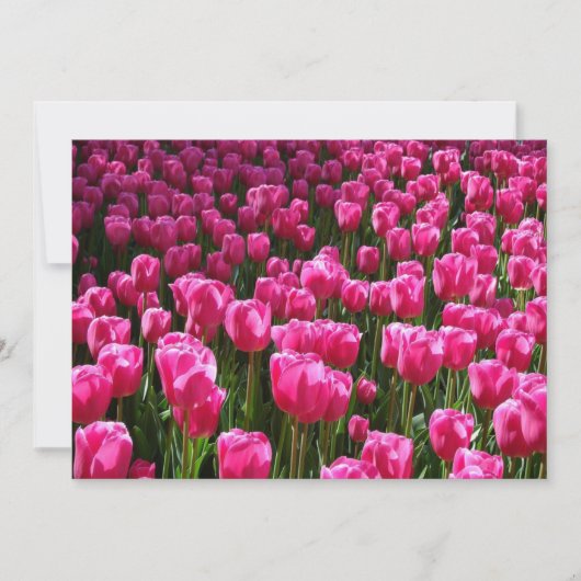 Roze Tulps-uitnodiging Kaart (Voorkant)