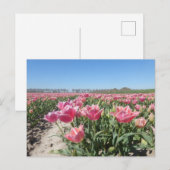Roze Tulps Veldlandschap DIY Briefkaart (Voorkant / Achterkant)