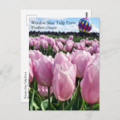 Roze tulpveld met luchtballon, Oregon Post Briefkaart (Voorkant / Achterkant)