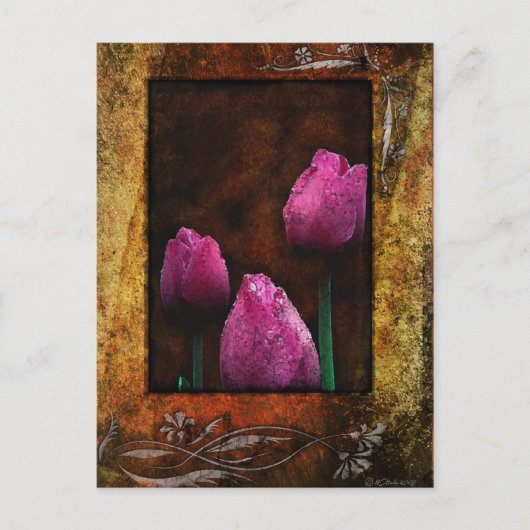 Roze tulpvormig briefkaart (Voorkant)