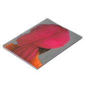Roze Turban Notitieboek (Linkerzijde)