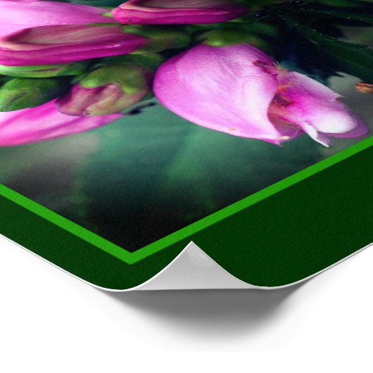 Roze Turtlehead Flower Close Up Mirror Abstract Poster (Hoek)