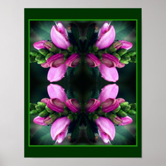Roze Turtlehead Flower Close Up Mirror Abstract Poster (Voorkant)