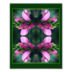Roze Turtlehead Flower Mirror Abstract 8x10 Foto Afdruk