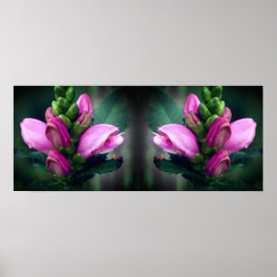 Roze Turtlehead Flower Mirror Abstract Poster