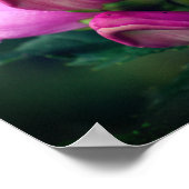 Roze Turtlehead Flower Mirror Abstract Poster (Hoek)