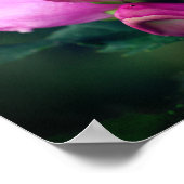 Roze turtlehead gaat dicht poster (Hoek)