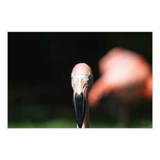 Roze Twee Foto Afdruk