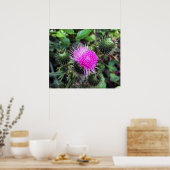 roze uitbarsting poster (Keuken)