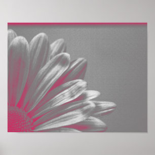 Roze Uitgelichte Bloem Poster