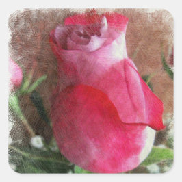 Roze Valentijn Roos Vierkante Sticker