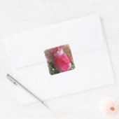 Roze Valentijn Roos Vierkante Sticker (Envelop)