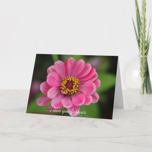 roze valentijnen feestdagen kaart (Voorkant)