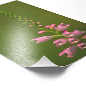 Roze valse dragonhead-ventilator foto afdruk (Hoek)