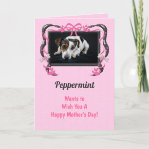 Roze van de hond Moederdag Kaart