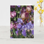 Roze van de Tuin van de iris het Paarse Blauwe Kaart (Gele Bloem)