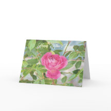 Roze van het moederdag nam toe