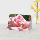 Roze van juni nam Taal van de Verjaardag van Kaart (Gele Bloem)