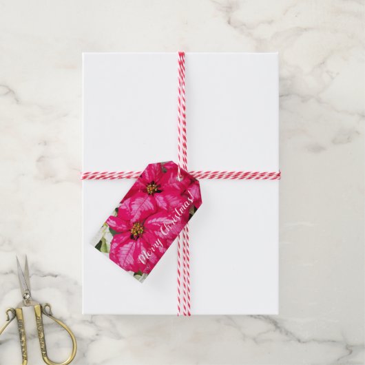 Roze variabele poinsettias Holiday Cadeaulabel (Met Touw)