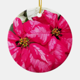 Roze variabele poinsettias Holiday Keramisch Ornament
