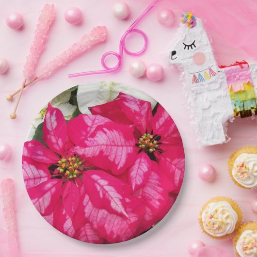 Roze variabele poinsettias Holiday Papieren Bordje (Feest)