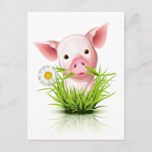Roze varken in gras briefkaart