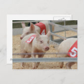 Roze varkensbiggetje nummer drie briefkaart (Voorkant / Achterkant)