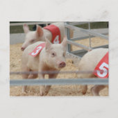 Roze varkensbiggetje nummer drie briefkaart (Voorkant)