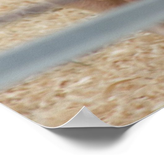 Roze varkensbiggetje nummer drie poster (Hoek)