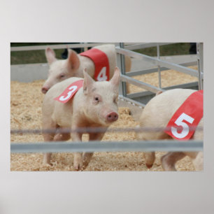 Roze varkensbiggetje nummer drie poster