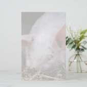 Roze varkensfoto briefpapier (Staand voorkant)