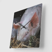Roze varkensfoto vierkante klok (Hoek)