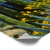 Roze Veel planten, Sonoran Desert, Arizona-bloemen Poster (Hoek)