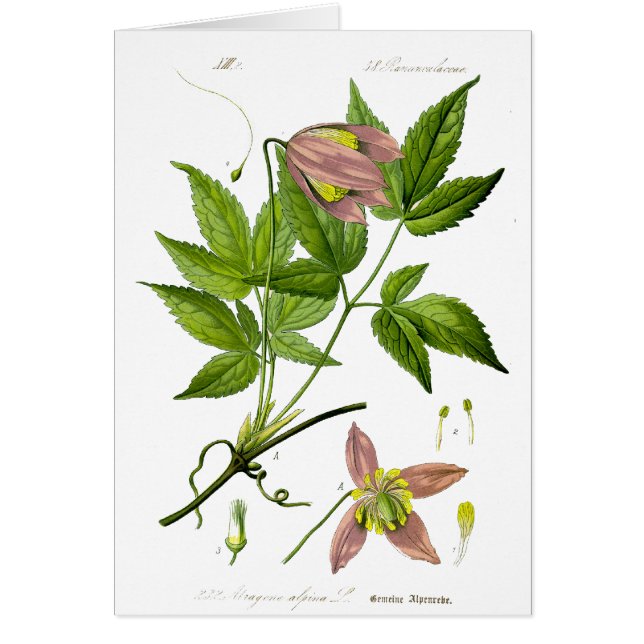  roze ventilator (Voorkant)