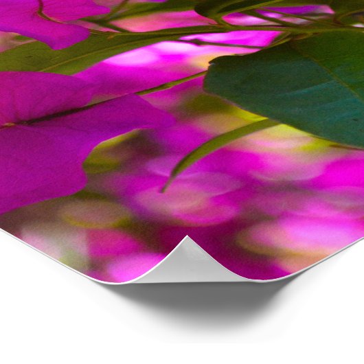 Roze ventilator - #1 poster (Hoek)