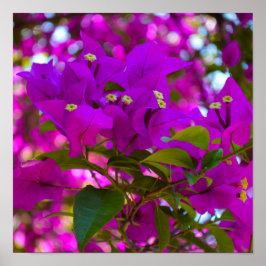 Roze ventilator - #1 poster